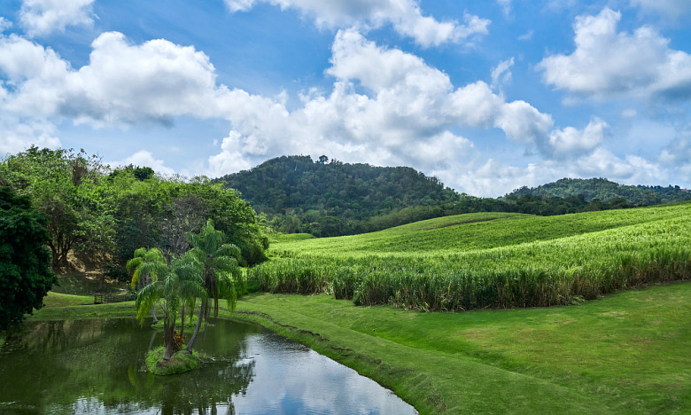 Eco-friendly Martinique