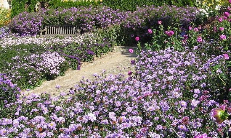 Fast Facts Blerancourt The need to enlarge the spaces dedicated to permanent exhibitions and to create a room dedicated to temporary exhibitions was the starting point of a second period of renovation and of. france media platform france fr