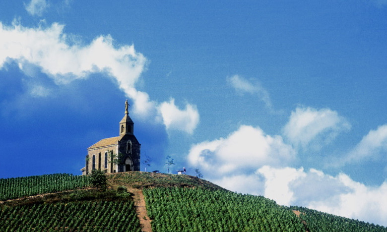 La chapelle de St Laurent d'Oingt domine le vignoble beaujolais.
