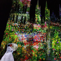 Rouen Cathedral Sound and Light show