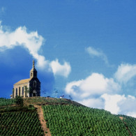 La chapelle de St Laurent d'Oingt domine le vignoble beaujolais.