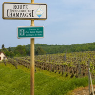  Champagne wine region