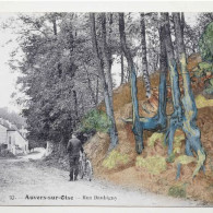 Auvers-sur-Oise where Van Gogh painted Tree Roots