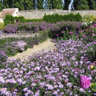 Gardens of the Franco-American Museum